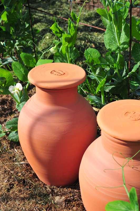 تستعيد الأوياس (Oyas/Ollas) مكانتها كحلّ أصيل يجمع بين البساطة والفعالية ويضمن ترطيبًا عميقًا دون أي هدر. فالأوياس أوانٍ فخارية تقليدية، تُستخدم منذ آلاف السنين للري السلبي للنباتات.  حيث تعود أصولها إلى المناطق الجافة، لا سيما في شمال إفريقيا والشرق الأوسط، حيث تتيح هذه الأوعية المسامية تسرب الماء ببطء إلى التربة المحيطة، مما يوفر ترطيبًا مستمرًا للجذور. وتقلل هذه الطريقة بشكل كبير من هدر المياه، إذ تُقدَّم الرطوبة مباشرةً إلى المكان الذي تحتاجه فيه النباتات، مما يقلل من التبخر والجريان السطحي. عادةً ما تُدفن الأوياس في التربة بحيث يظهر منها فقط عنقها، مما يتيح ريًا خفيًا وفعالًا، وهو مثالي للحدائق الجافة، والبساتين، وحتى النباتات المزروعة في الأصص.